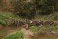 bobria hať cez rieku Myjavu